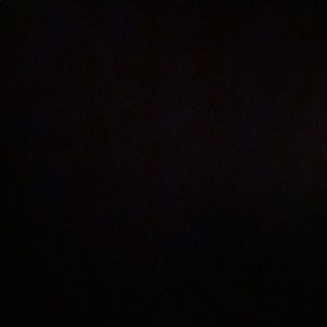 Meet your Posher, Sophia